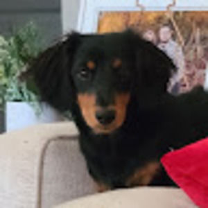 Meet your Posher, Chaynna